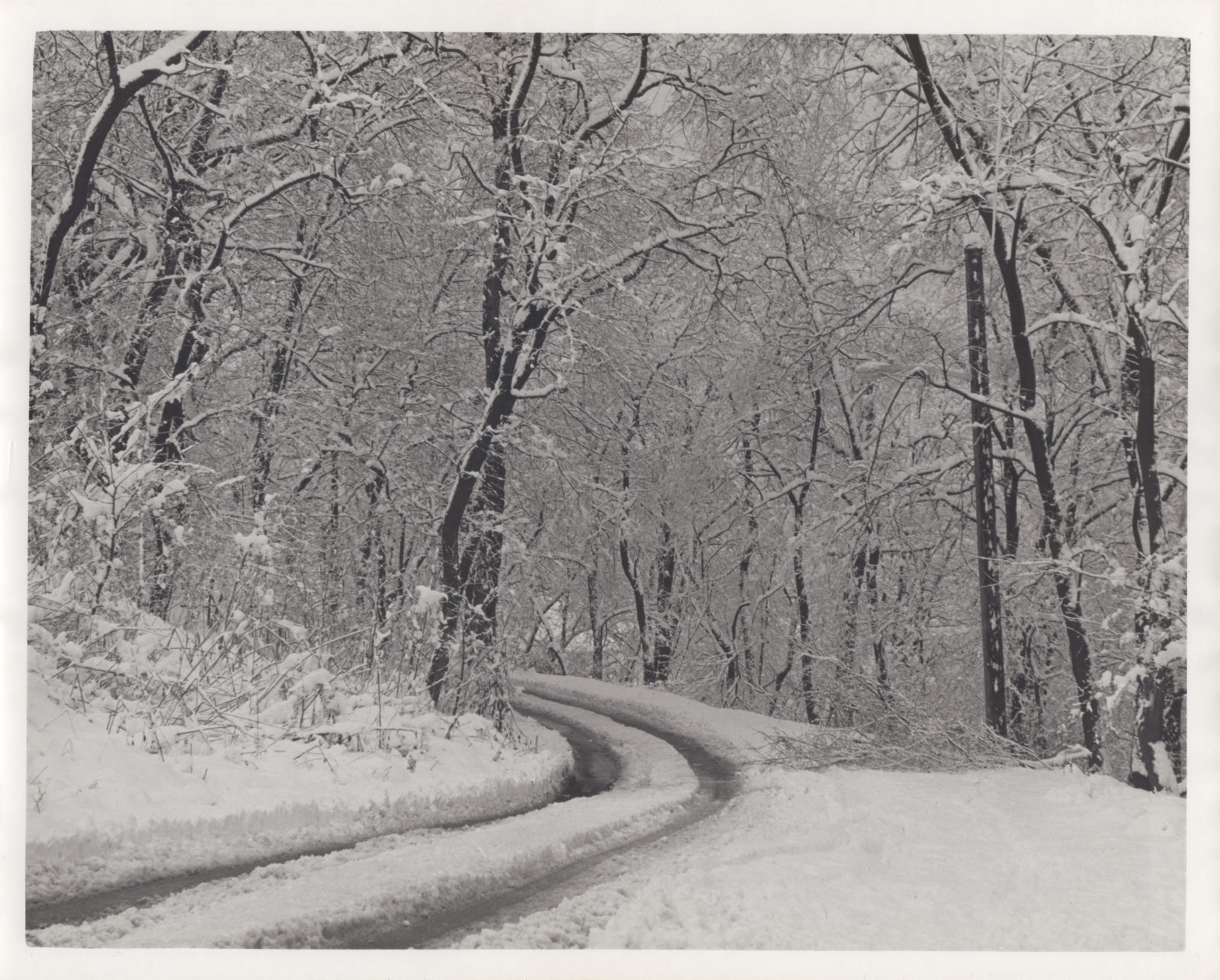 A winter road.